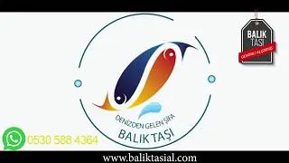 Böbrek taşına iyi gelen organik eşkina balık taşı