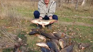 ИВАНЫЧ МОЧИТ.1 ноября САЗАН ЕСТЬ.