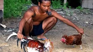 Malaysia - Borneo: Headhunters