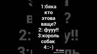 Оцени щенка! Прсти за чёрный экран щенок не сидит на месте!