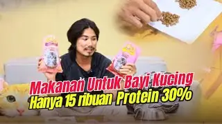 MAKANAN UNTUK BAYI KUCING HANYA 15 RIBUAN PROTEIN 30%
