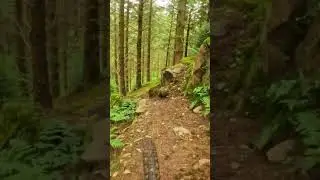 THE UNREAL HYPE AFTER SENDING THIS