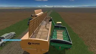 The Soybean Cycle #5 - Part IV: Harvest time!