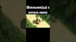 Мем про лето 