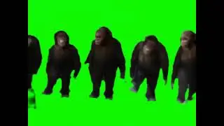 Dancing monkey green sc reen
