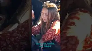 Bumper cars 2022