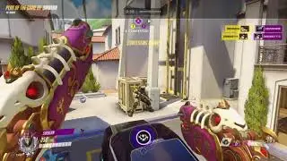 SirBean's Highlight*