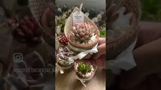 Gorgeous succulent wedding favours #succulent #succulentfavours #succulentwedding #weddingaustralia