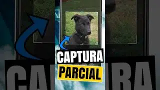 ✅️ ¿Cómo TOMAR una CAPTURA de PANTALLA RECORTADA en Xiaomi?