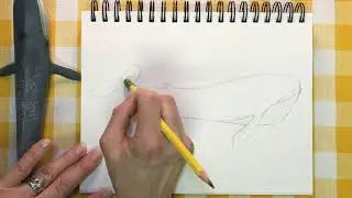 How to Draw a Blue Whale