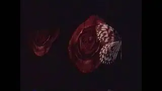 Universe of Energy 1996