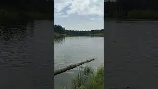 Открыл купальный сезон!
