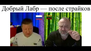 Добрый Лабр - встреча после страйков 2025-02-14 