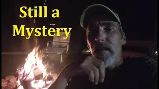 The Mystery in our Woods continue