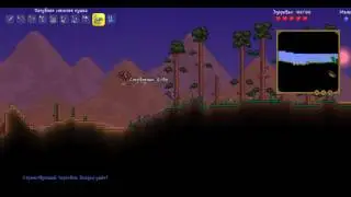 Terraria приключение на попу