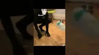 hey guys check this out 😎