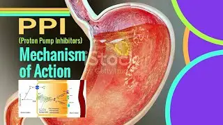 PPI Mechanism of Action || Proton pump inhibitors mechanism of action