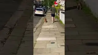 #shorts