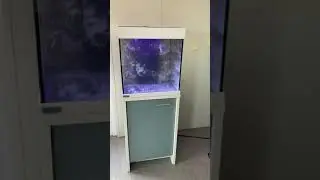 Влог N 2 Готовимся к переезду!