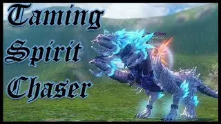 How to Tame Spirit Chaser