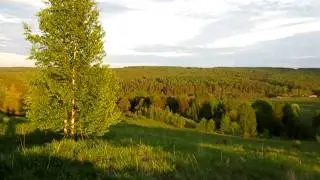 С.Л.Сметанин 