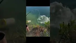 рыбалка удалась 