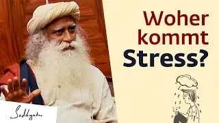 Woher kommt Stress?