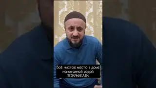 Что касается домовых, то они, по сути, джинны, поселившиеся в домах людей