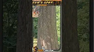 A Walk Through Seneca Village