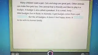 Parakeet And The Lexia Core 5