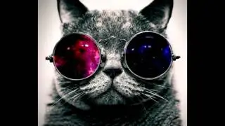 I'am a Motherfucking Cat