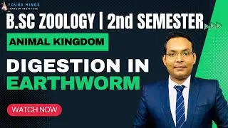B.Sc Zoology | Digestion In Earthworm