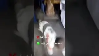 I said let him cook