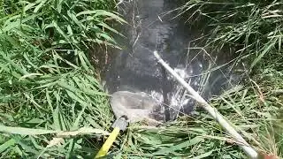 Electrofishing Boring Ahh Stream