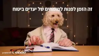 ביטוח אחריות מקצועית