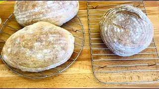 The Easiest Sourdough Wheat Bread