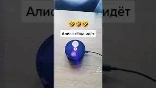 Алиса тëща идëт к нам прикол!