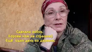 Ещё один мой деревенский вечер. Сделали забор. Планы.