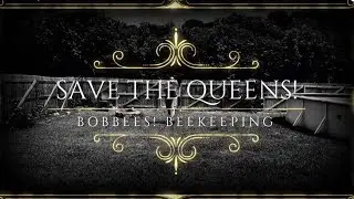 Time to Save the Queens!