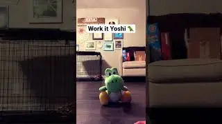 Yoshi Shaking That Booty 🤑 