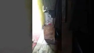 Полезен ли лазить