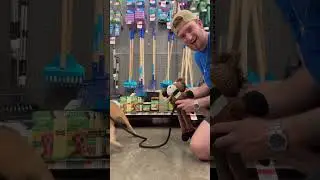 Pet Supplies is GOATED