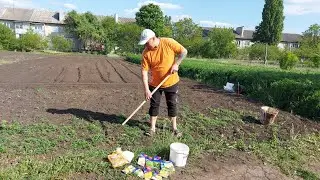 Понравилась ли нам индюшатина??? Целый день в огороде.