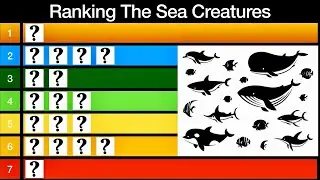Sea Creature Tier List! Which Sea Creature Is The Best?...