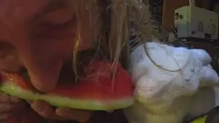 Hermit Eats Watermelon With Rabbit