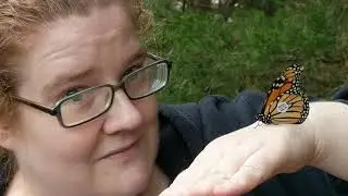 Tagged Butterfly