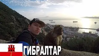 Гибралтар. Прогулка с обезьянами по краю Европы