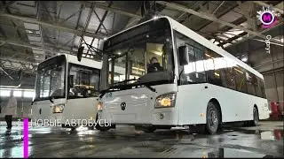 Мегаполис – Новые автобусы – Сургут
