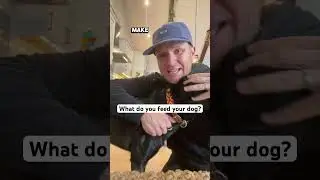 Does your dog LOVE what they eat?