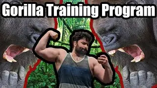 Gorilla Fitness Program v1.0